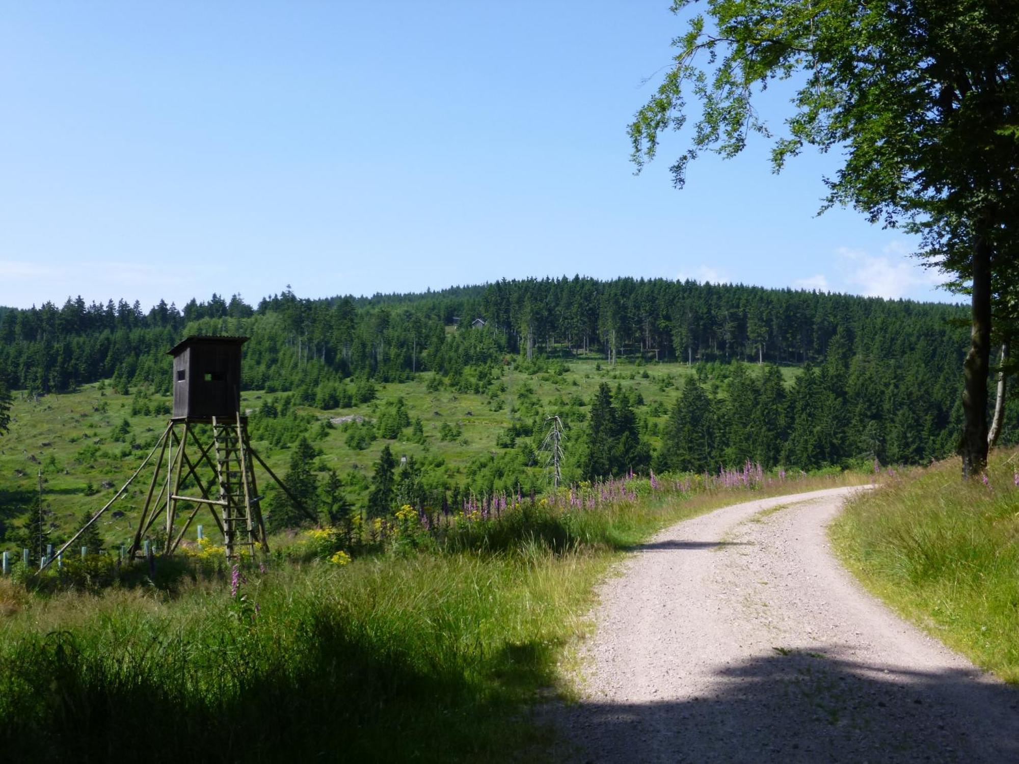 Haus Pia Oberhof (Thuringia)